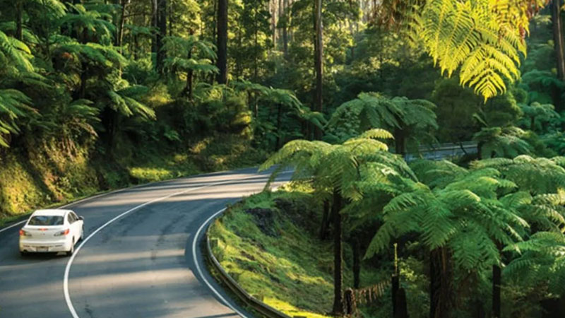 Ride in Comfort with Professional Taxi & Cab Services